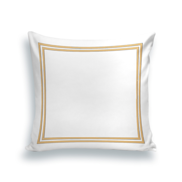 silk Embroidered frames Cushion (multi colors )