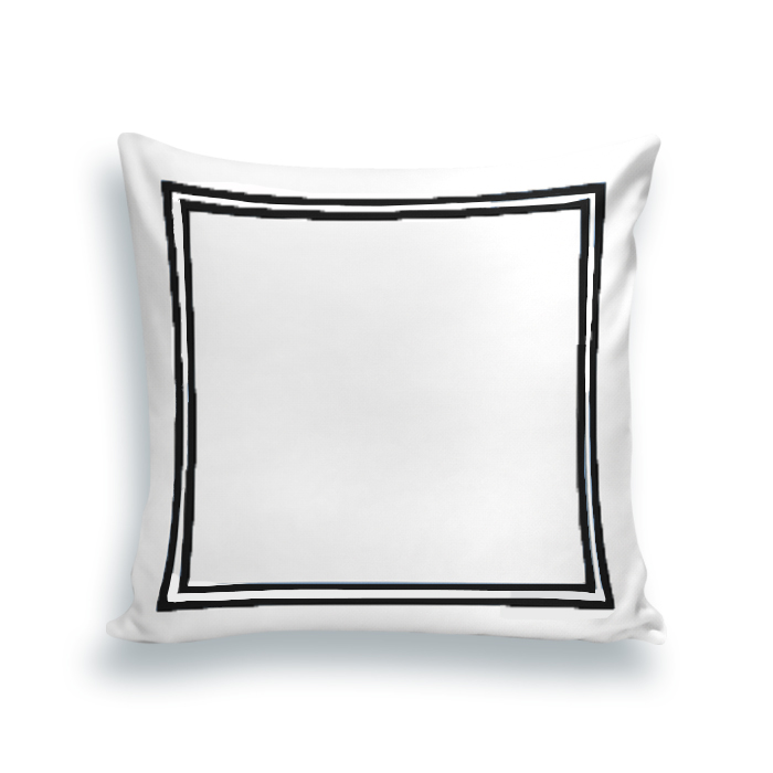 silk Embroidered frames Cushion (multi colors )